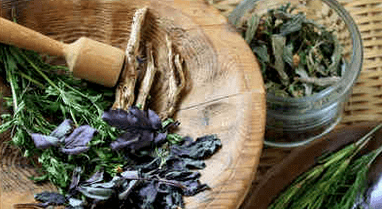 Traitement du psoriasis avec des remèdes populaires